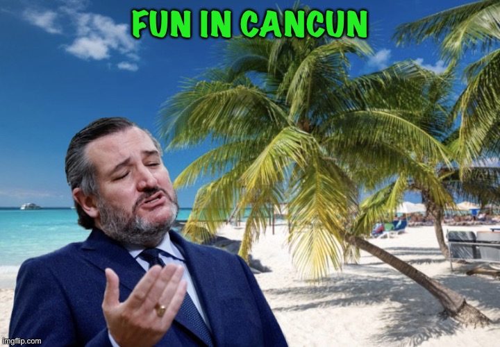 Ted Cruz Cancun | FUN IN CANCUN | image tagged in ted cruz cancun | made w/ Imgflip meme maker