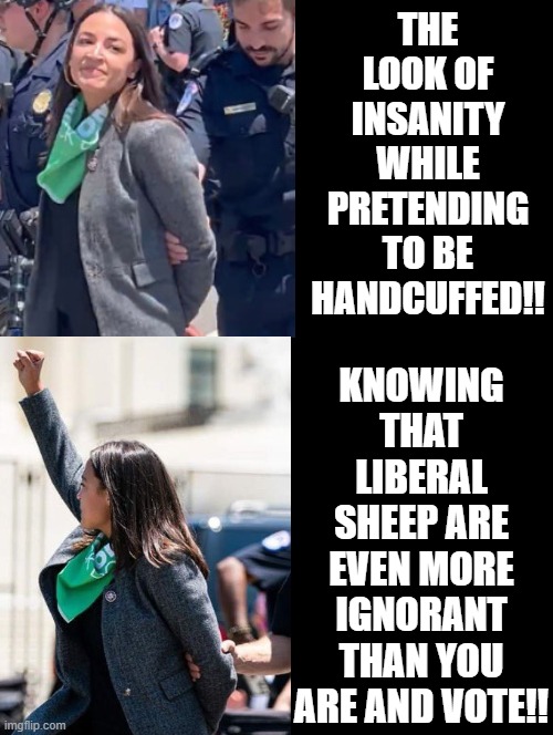 The look of insanity while pretending to be handcuffed!! |  THE LOOK OF INSANITY WHILE PRETENDING TO BE HANDCUFFED!! KNOWING THAT LIBERAL SHEEP ARE EVEN MORE IGNORANT THAN YOU ARE AND VOTE!! | image tagged in crazy aoc,crazy alexandria ocasio-cortez,stupid liberals | made w/ Imgflip meme maker