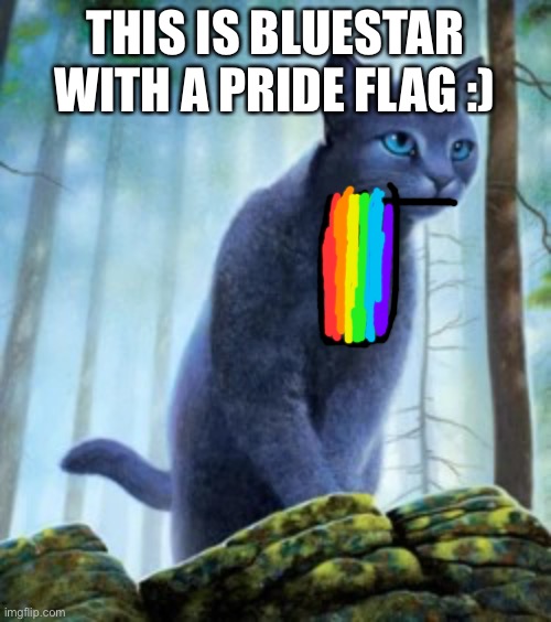 Here! | THIS IS BLUESTAR WITH A PRIDE FLAG :) | image tagged in bluestar | made w/ Imgflip meme maker