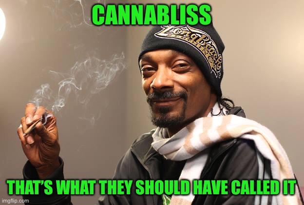 Snoop Dogg |  CANNABLISS; THAT’S WHAT THEY SHOULD HAVE CALLED IT | image tagged in snoop dogg | made w/ Imgflip meme maker