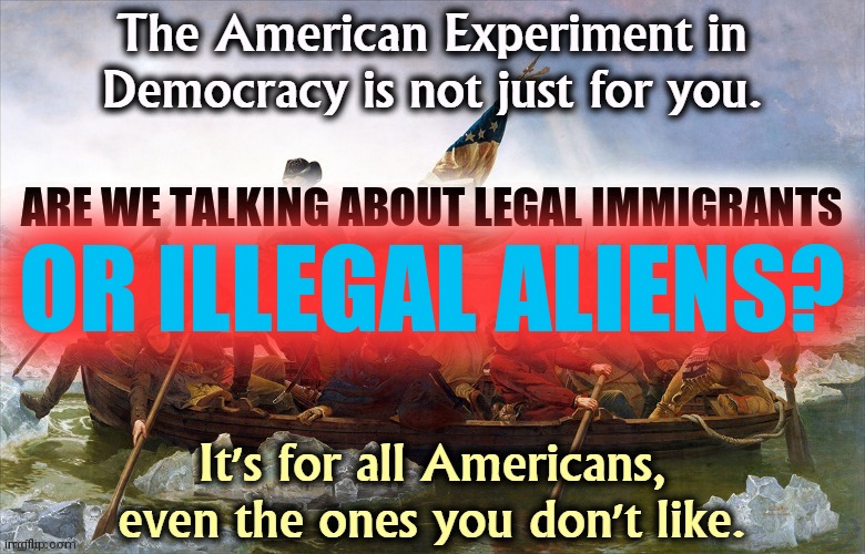 Freedom Is Not Free, Unless You Vote For Me |  ARE WE TALKING ABOUT LEGAL IMMIGRANTS; OR ILLEGAL ALIENS? | image tagged in right wing latina,killing,children,disabled,comment,response | made w/ Imgflip meme maker