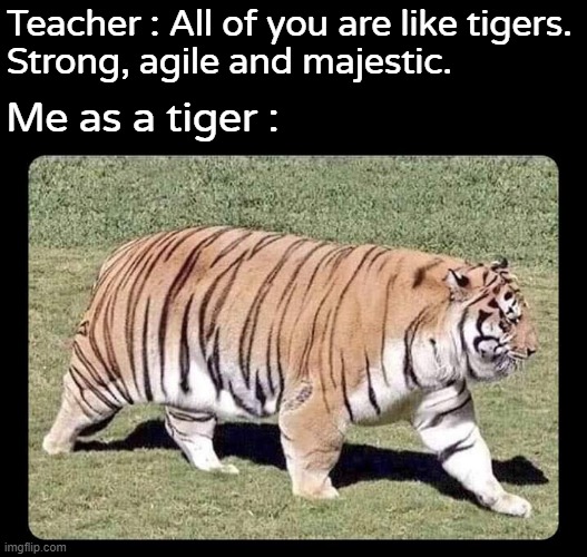 Weak, fat, slow, lazy and ugly. |  Teacher : All of you are like tigers.
Strong, agile and majestic. Me as a tiger : | image tagged in tiger,teacher meme | made w/ Imgflip meme maker