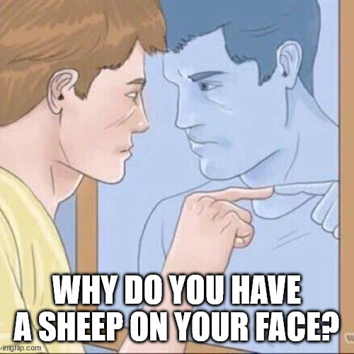 Pointing mirror guy | WHY DO YOU HAVE A SHEEP ON YOUR FACE? | image tagged in pointing mirror guy | made w/ Imgflip meme maker