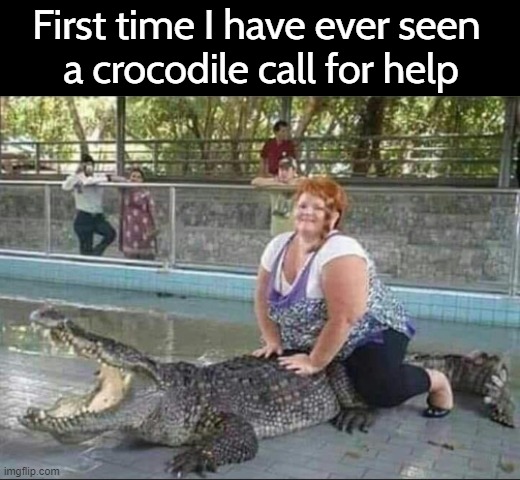 He's screaming in agony | First time I have ever seen 
a crocodile call for help | image tagged in fat,crocodile,help | made w/ Imgflip meme maker