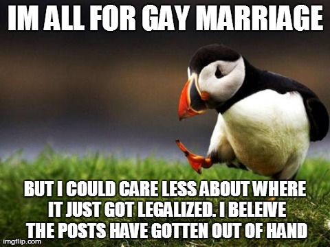 Unpopular Opinion Puffin Meme | IM ALL FOR GAY MARRIAGE BUT I COULD CARE LESS ABOUT WHERE IT JUST GOT LEGALIZED. I BELEIVE THE POSTS HAVE GOTTEN OUT OF HAND | image tagged in memes,unpopular opinion puffin | made w/ Imgflip meme maker
