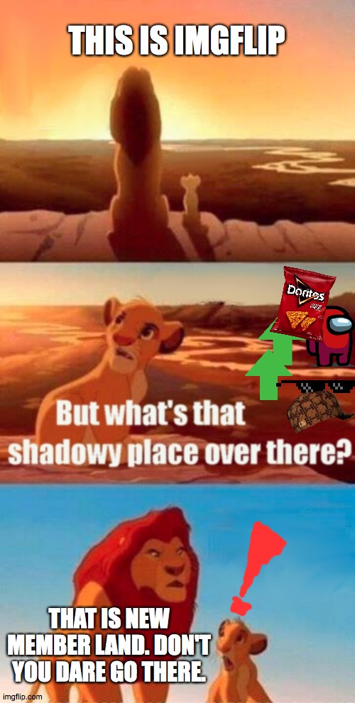 New members land | THIS IS IMGFLIP; THAT IS NEW MEMBER LAND. DON'T YOU DARE GO THERE. | image tagged in memes,simba shadowy place | made w/ Imgflip meme maker