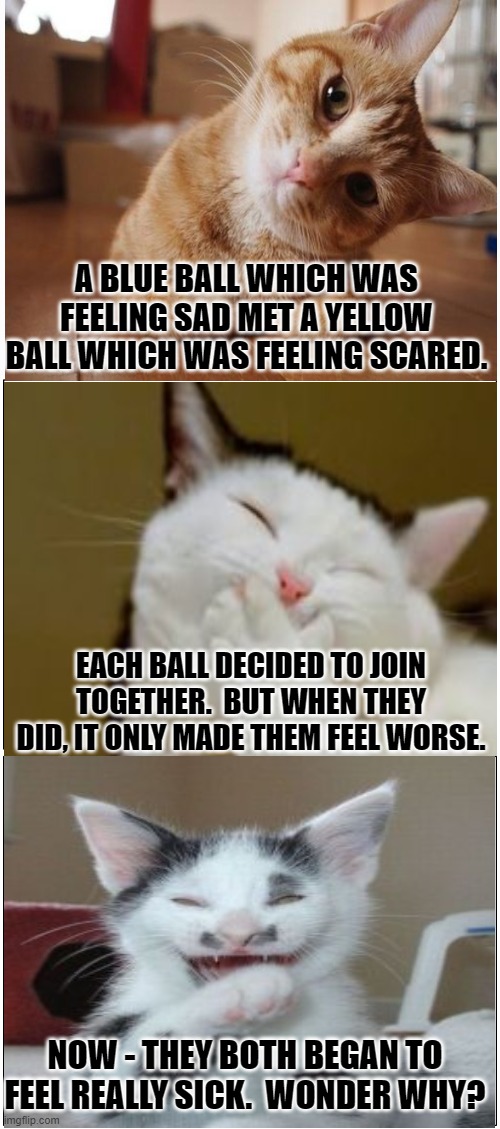 Bad Pun Cat 5 | A BLUE BALL WHICH WAS FEELING SAD MET A YELLOW BALL WHICH WAS FEELING SCARED. EACH BALL DECIDED TO JOIN TOGETHER.  BUT WHEN THEY DID, IT ONLY MADE THEM FEEL WORSE. NOW - THEY BOTH BEGAN TO FEEL REALLY SICK.  WONDER WHY? | image tagged in memes,cats,funny memes,funny cats,humor,cat memes | made w/ Imgflip meme maker