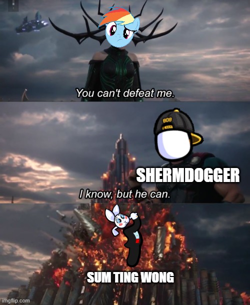 My new nemesis? | SHERMDOGGER; SUM TING WONG | image tagged in you can't defeat me | made w/ Imgflip meme maker