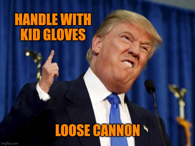 Him AND anyone who STILL supports him are a clear and present danger to American democracy | HANDLE WITH KID GLOVES; LOOSE CANNON | image tagged in trump small hands | made w/ Imgflip meme maker