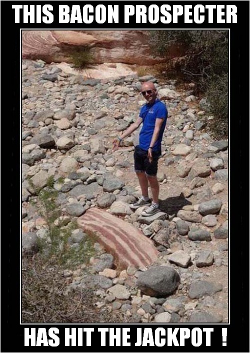 It's In Them Thar Hills ! | THIS BACON PROSPECTER; HAS HIT THE JACKPOT  ! | image tagged in bacon,prospecter,jackpot,front page | made w/ Imgflip meme maker