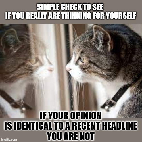 The #lolcat has a simple way for you to know if you are really thinking for yourself. | SIMPLE CHECK TO SEE 
IF YOU REALLY ARE THINKING FOR YOURSELF; IF YOUR OPINION
IS IDENTICAL TO A RECENT HEADLINE
YOU ARE NOT | image tagged in lolcat,think about it,headlines,opinion | made w/ Imgflip meme maker