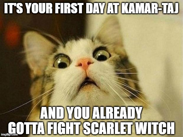 Whisper in My Ear Wanda | IT'S YOUR FIRST DAY AT KAMAR-TAJ; AND YOU ALREADY GOTTA FIGHT SCARLET WITCH | image tagged in memes,scared cat | made w/ Imgflip meme maker