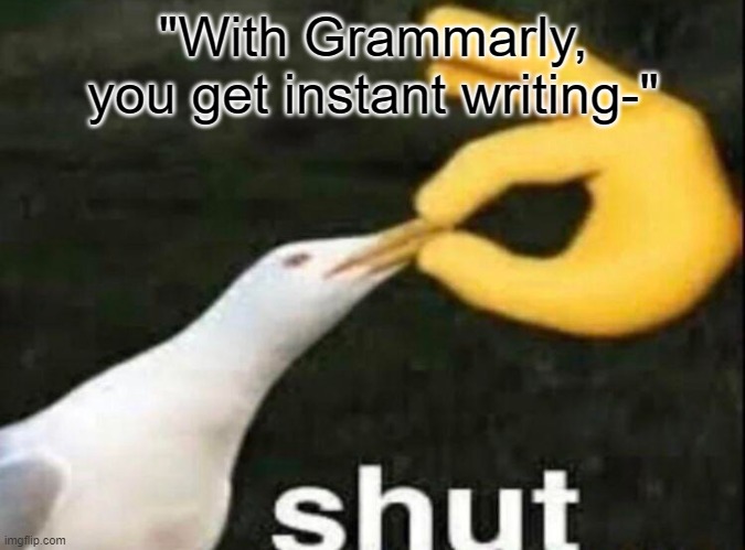 on my old laptop i used grammarly. AND THE ADS STILL DIDNT SHUT UP | "With Grammarly, you get instant writing-" | image tagged in shut | made w/ Imgflip meme maker