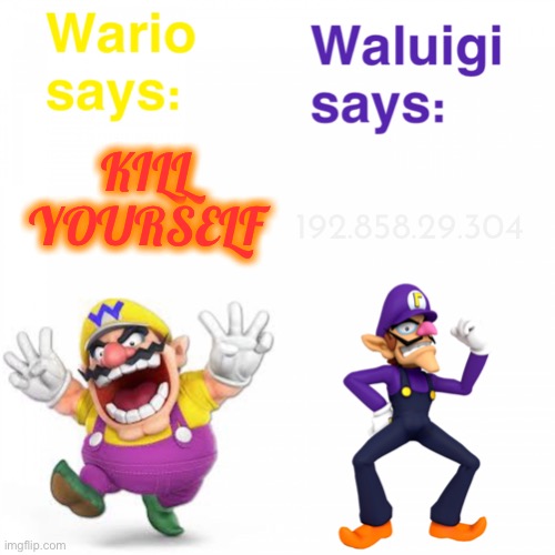 Views on Wario and Waluigi | 192.858.29.304; KILL YOURSELF | image tagged in views on wario and waluigi | made w/ Imgflip meme maker