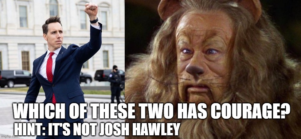 Josh Hawley cowardly traitor - Wizard of Oz Lion | HINT: IT'S NOT JOSH HAWLEY; WHICH OF THESE TWO HAS COURAGE? | image tagged in josh hawley - coward traitor missouri republican,republican,trump,treason,coup,capitol | made w/ Imgflip meme maker