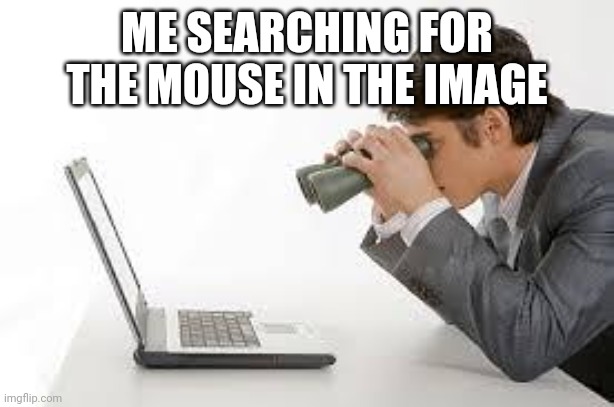 Searching Computer | ME SEARCHING FOR THE MOUSE IN THE IMAGE | image tagged in searching computer | made w/ Imgflip meme maker