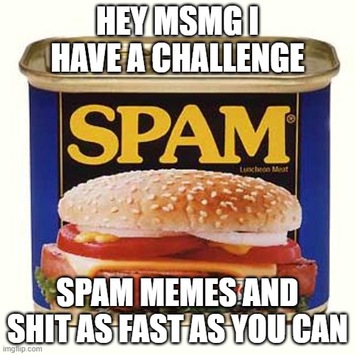 spam | HEY MSMG I HAVE A CHALLENGE; SPAM MEMES AND SHIT AS FAST AS YOU CAN | image tagged in spam | made w/ Imgflip meme maker