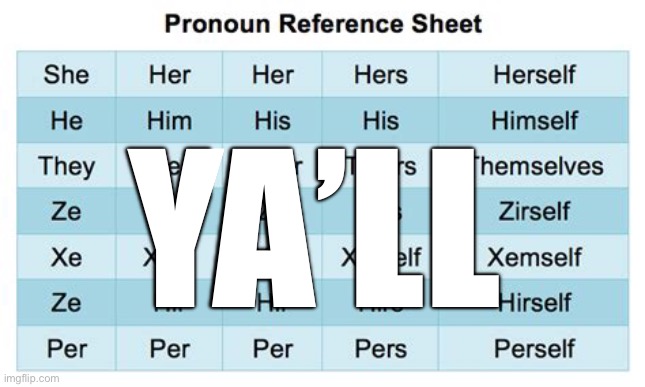 Easy solution to pronoun dilemma | YA’LL | image tagged in liberals,democrats,confused | made w/ Imgflip meme maker