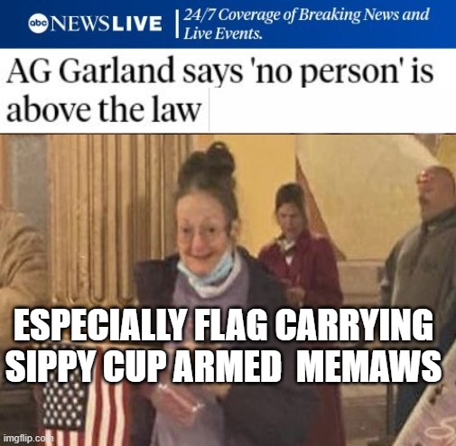 yep | ESPECIALLY FLAG CARRYING SIPPY CUP ARMED  MEMAWS | image tagged in doj | made w/ Imgflip meme maker