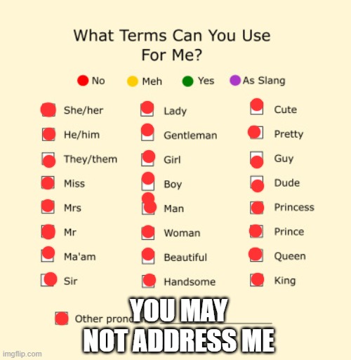 Pronouns | YOU MAY NOT ADDRESS ME | image tagged in pronouns sheet | made w/ Imgflip meme maker