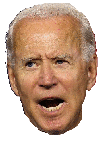 Joe Biden Head 2 Blank Meme Template