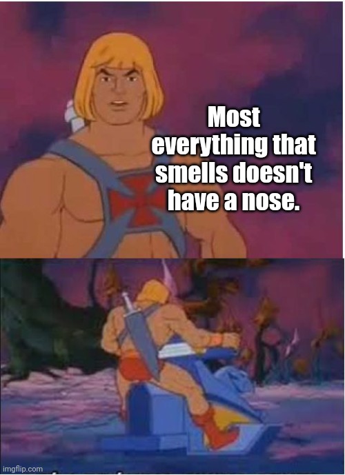 He-Man | Most everything that smells doesn't have a nose. | image tagged in he-man | made w/ Imgflip meme maker
