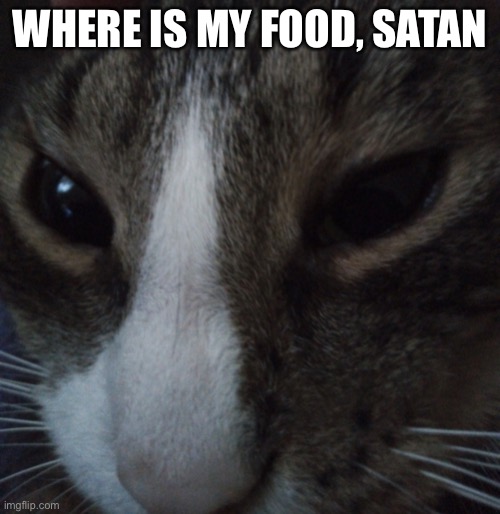 yeet | WHERE IS MY FOOD, SATAN | image tagged in yeet | made w/ Imgflip meme maker