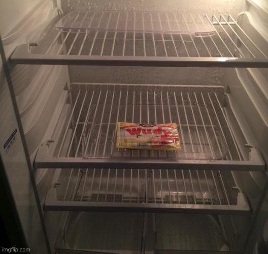 Empty fridge | image tagged in empty fridge | made w/ Imgflip meme maker