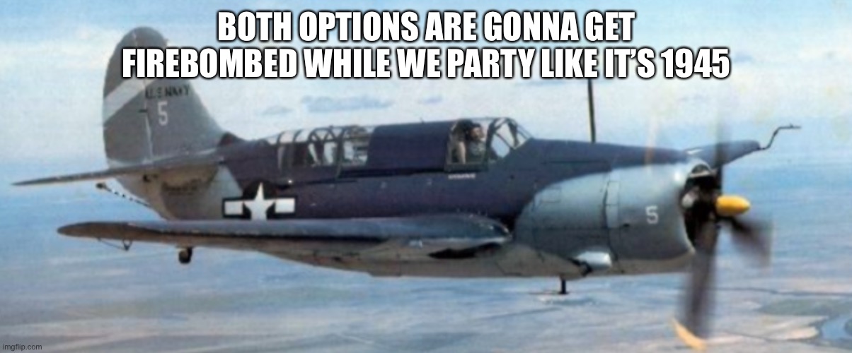 Curtiss Helldiver | BOTH OPTIONS ARE GONNA GET FIREBOMBED WHILE WE PARTY LIKE IT’S 1945 | image tagged in curtiss helldiver | made w/ Imgflip meme maker