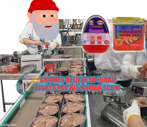 Gununguk? Guk guk gununki | HUMAN MEAT IN NATURAL JUICES; Gungguk; GNOMES BELIEVE IN EQUAL RIGHTS FOR ALL HUMAN SCUM | image tagged in guk,guuk,guuukkk,gungukkk,gnomes | made w/ Imgflip meme maker