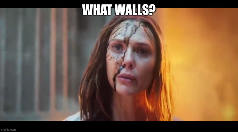 WHAT WALLS? | made w/ Imgflip meme maker