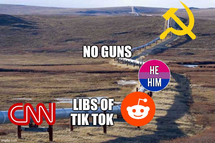 Left pipeline |  NO GUNS; LIBS OF TIK TOK | image tagged in pipeline | made w/ Imgflip meme maker