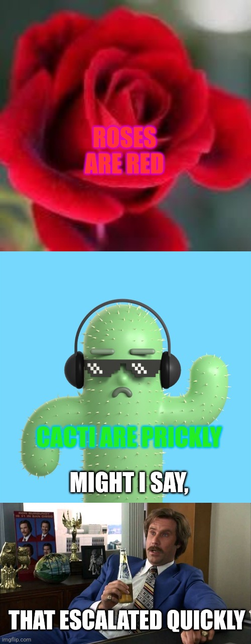 Well.. | ROSES ARE RED; CACTI ARE PRICKLY; MIGHT I SAY, THAT ESCALATED QUICKLY | image tagged in roses are red,cacti club,well that escalated | made w/ Imgflip meme maker