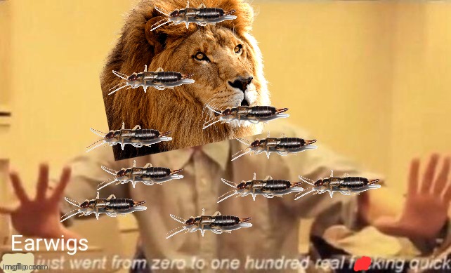 Scar's basement, probably | image tagged in scar,loves,earwigs,i dont know why | made w/ Imgflip meme maker