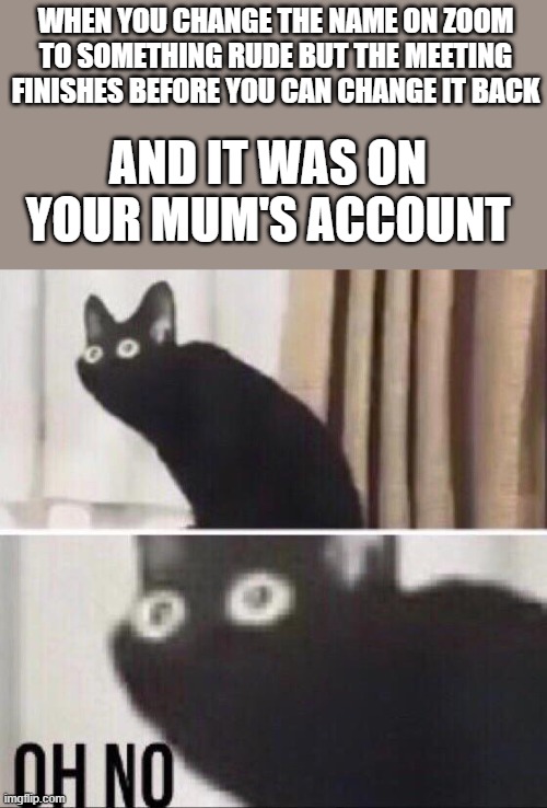 100th MEME!!! Tysm for all the support so far | WHEN YOU CHANGE THE NAME ON ZOOM TO SOMETHING RUDE BUT THE MEETING FINISHES BEFORE YOU CAN CHANGE IT BACK; AND IT WAS ON YOUR MUM'S ACCOUNT | image tagged in oh no cat,memes,zoom,funny,funny memes,moms | made w/ Imgflip meme maker