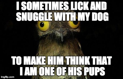 Weird Stuff I Do Potoo | I SOMETIMES LICK AND SNUGGLE WITH MY DOG TO MAKE HIM THINK THAT I AM ONE OF HIS PUPS | image tagged in memes,weird stuff i do potoo,AdviceAnimals | made w/ Imgflip meme maker