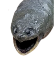 Very Very Cool Meme Template