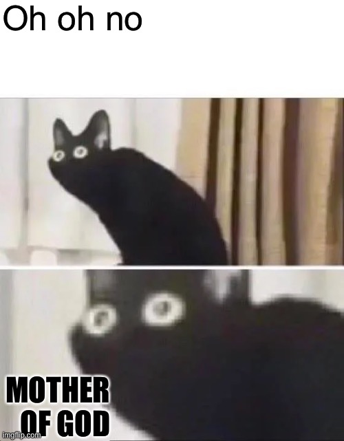 Oh oh no MOTHER OF GOD | image tagged in oh no black cat | made w/ Imgflip meme maker