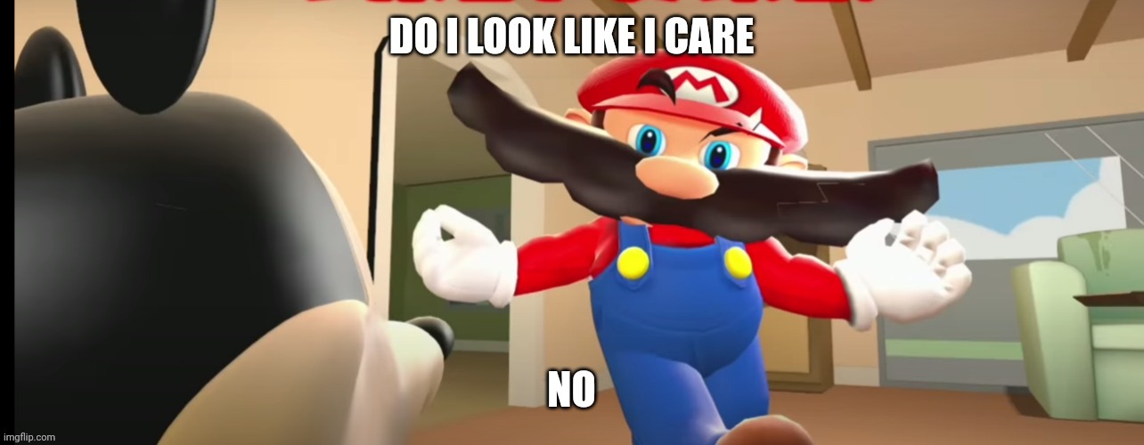 Mario do I look like I care | NO | image tagged in mario do i look like i care | made w/ Imgflip meme maker