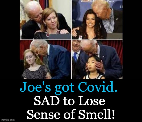 He lost his sense of taste LONG AGO.... | Joe's got Covid. SAD to Lose 
Sense of Smell! | image tagged in politics,joe biden,covid,sense of smell,sniffer,sense of taste | made w/ Imgflip meme maker