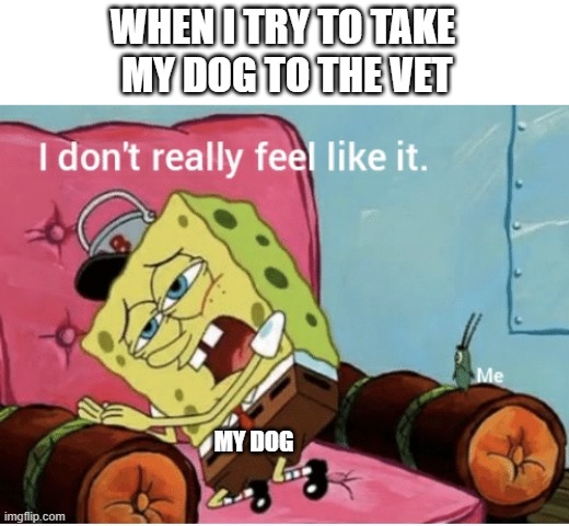 spongebob vet | WHEN I TRY TO TAKE 
MY DOG TO THE VET; MY DOG | image tagged in nah i don t really feel like it,dog,dog memes,work,spongebob | made w/ Imgflip meme maker