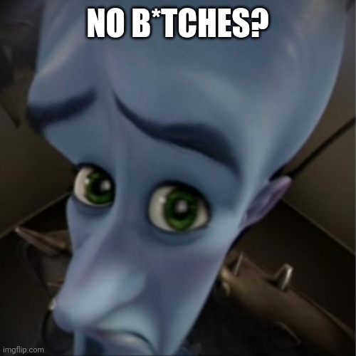 Megamind peeking | NO B*TCHES? | image tagged in megamind peeking | made w/ Imgflip meme maker