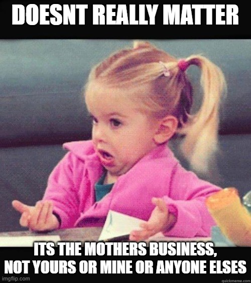 I dont know girl | DOESNT REALLY MATTER ITS THE MOTHERS BUSINESS, NOT YOURS OR MINE OR ANYONE ELSES | image tagged in i dont know girl | made w/ Imgflip meme maker