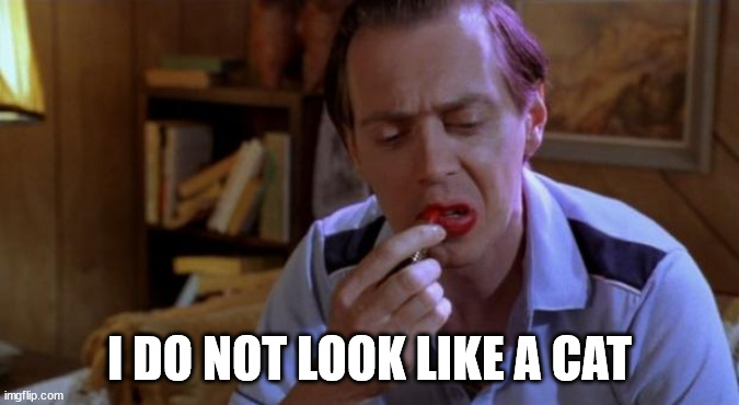 Steve Buscemi Lipstick | I DO NOT LOOK LIKE A CAT | image tagged in steve buscemi lipstick | made w/ Imgflip meme maker