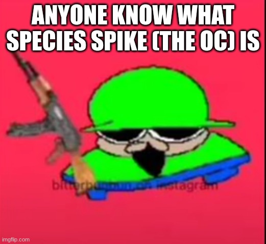 brobgunal | ANYONE KNOW WHAT SPECIES SPIKE (THE OC) IS | image tagged in brobgunal | made w/ Imgflip meme maker