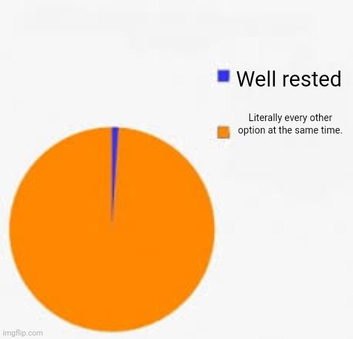 Pie Chart Meme | Well rested Literally every other option at the same time. | image tagged in pie chart meme | made w/ Imgflip meme maker