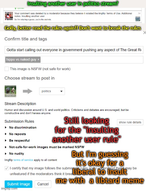 I'm sure I insult the Mod by commenting, breathing, sleeping, posting memes, shopping, driving, walking, burping, far... | Insulting another user in politics stream? Golly, better read the rules again!! Don't want to break the rules; Still looking for the "insulting another user rule"; But I'm guessing it's okay for a liberal to insult me with  a libtard meme | image tagged in mod,insult | made w/ Imgflip meme maker