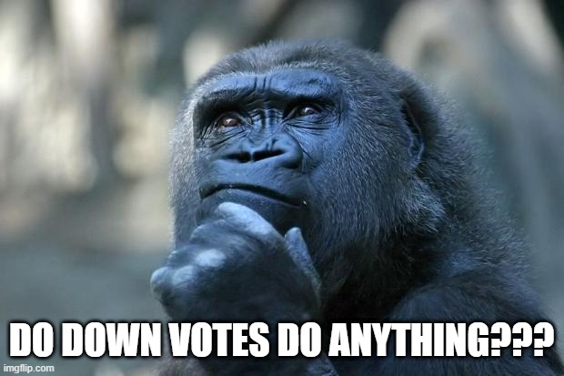 Wondering... | DO DOWN VOTES DO ANYTHING??? | image tagged in deep thoughts | made w/ Imgflip meme maker