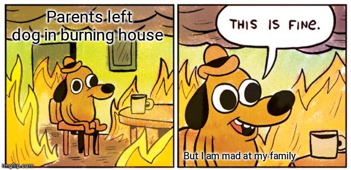 This Is Fine Meme | Parents left dog in burning house; But I am mad at my family | image tagged in memes,this is fine | made w/ Imgflip meme maker