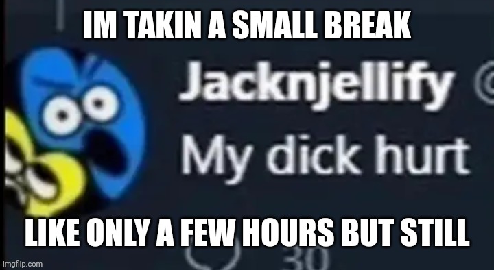 my dick hurts | IM TAKIN A SMALL BREAK; LIKE ONLY A FEW HOURS BUT STILL | made w/ Imgflip meme maker